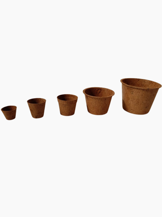 Coir Pot